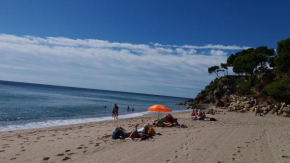 Espectacular apartamento en primera línea de playa